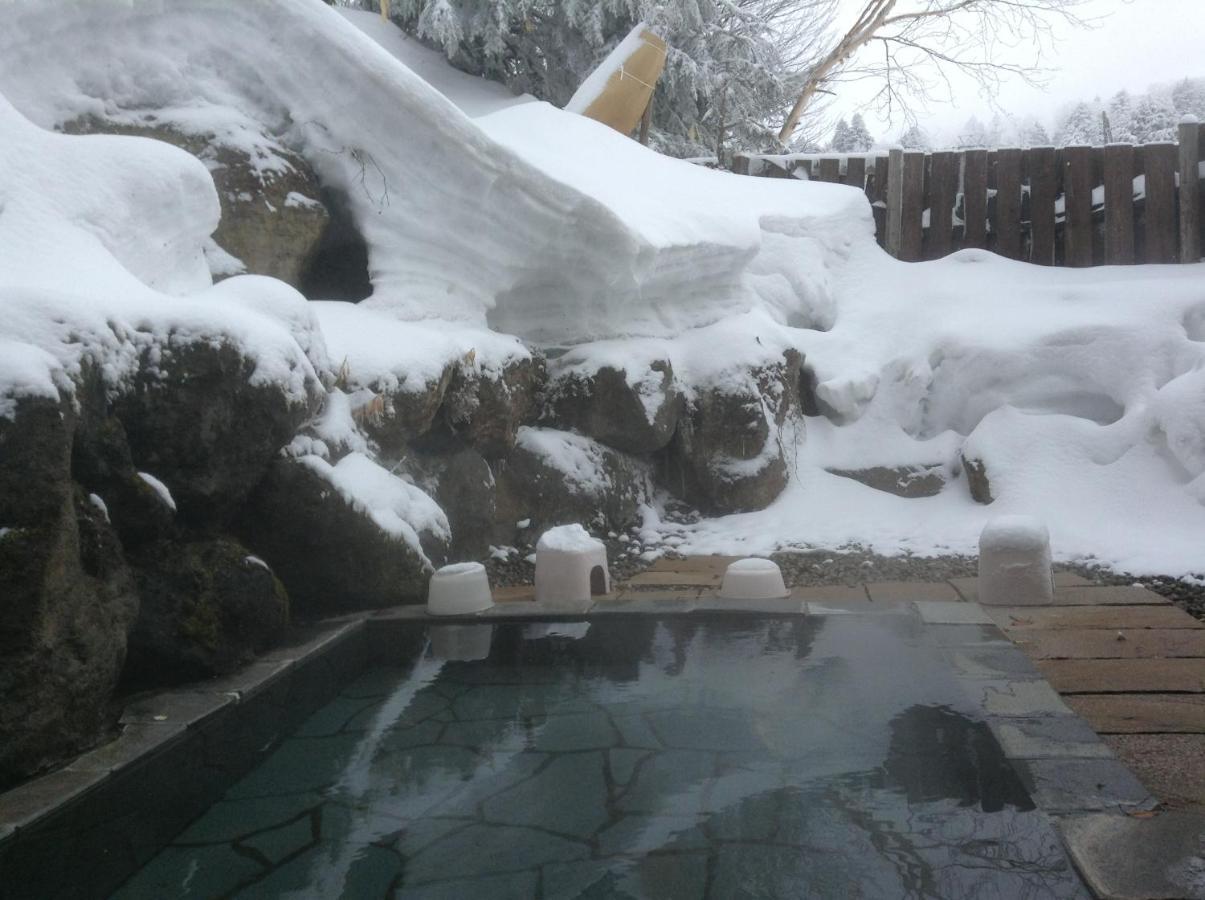 Shiga Riverside Hotel Yamanouchi  Bagian luar foto